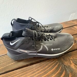Nike Men's Pegasus Trail Gore-Tex